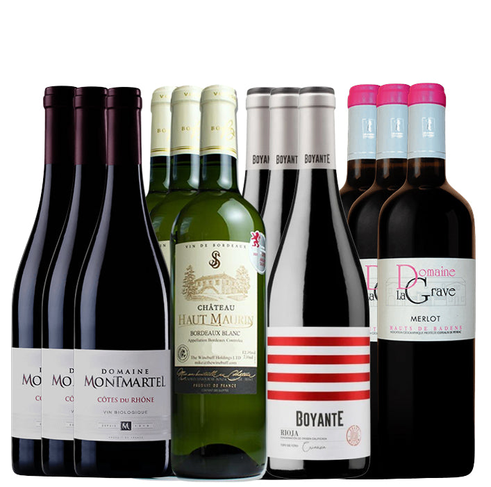 Collection of various wine bottles with labels on a white background
