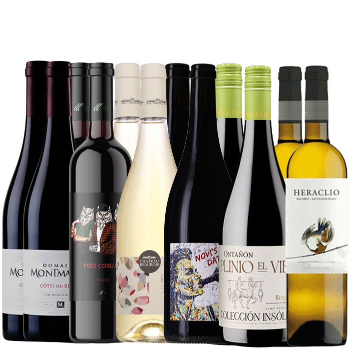 Collection of various wine bottles with different labels on a white background
