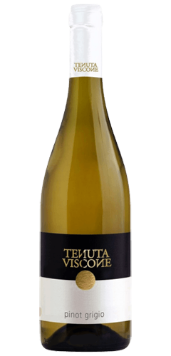 Green burgundy shaped wine bottle with a white capsule and a black and white label and a gold dot, text of TENUTA VISCONE and pinot grigio.
