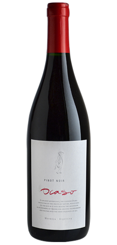 Ocaso Pinot Noir red wine from the Mendoza region of Argentina